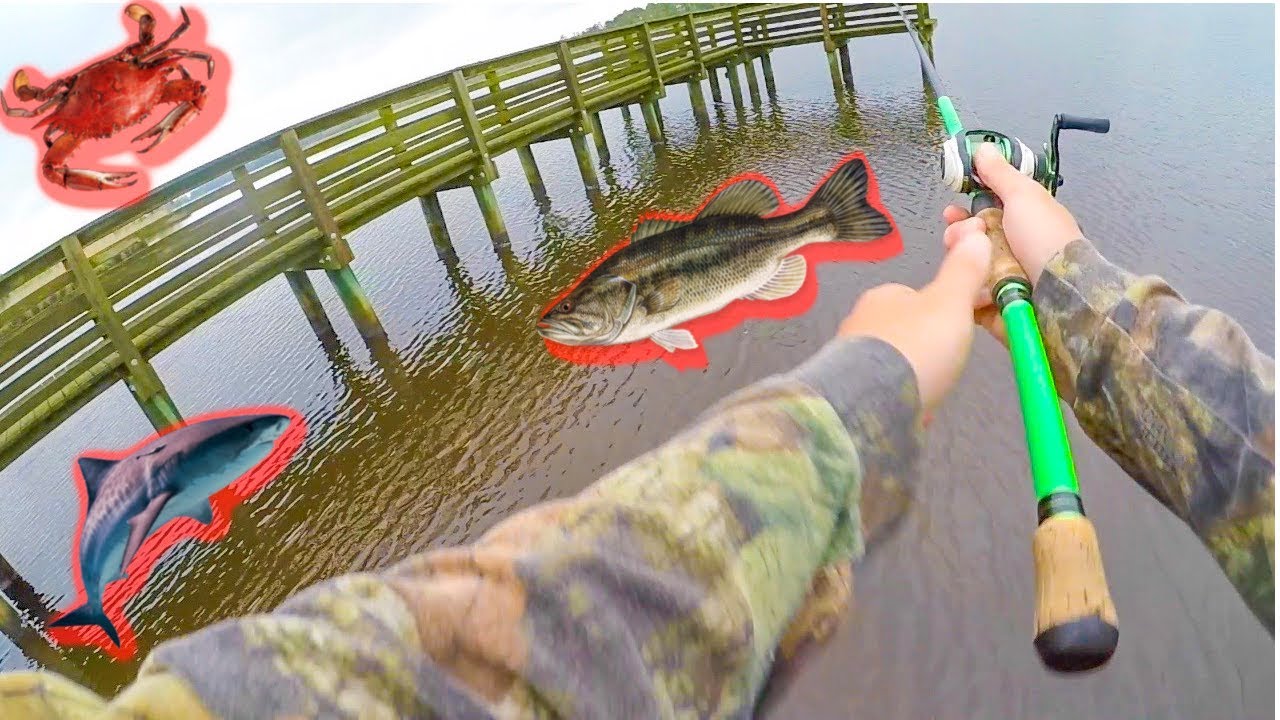 Can Largemouth Bass Live in Saltwater