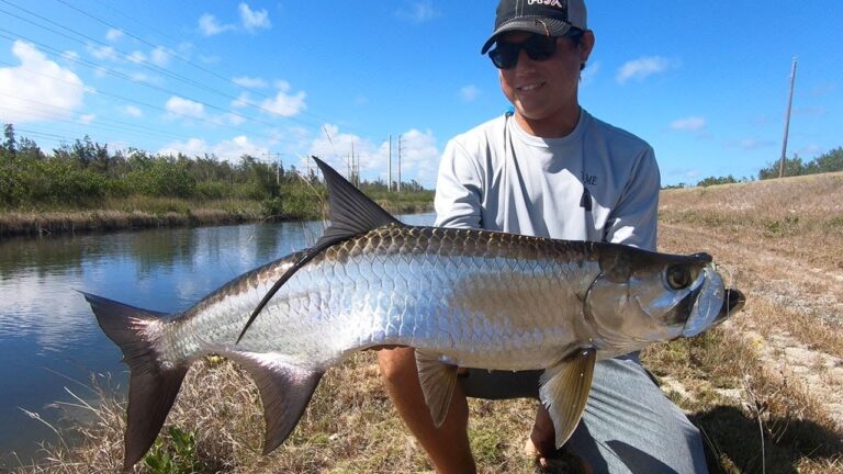 Can Tarpon Live in Freshwater