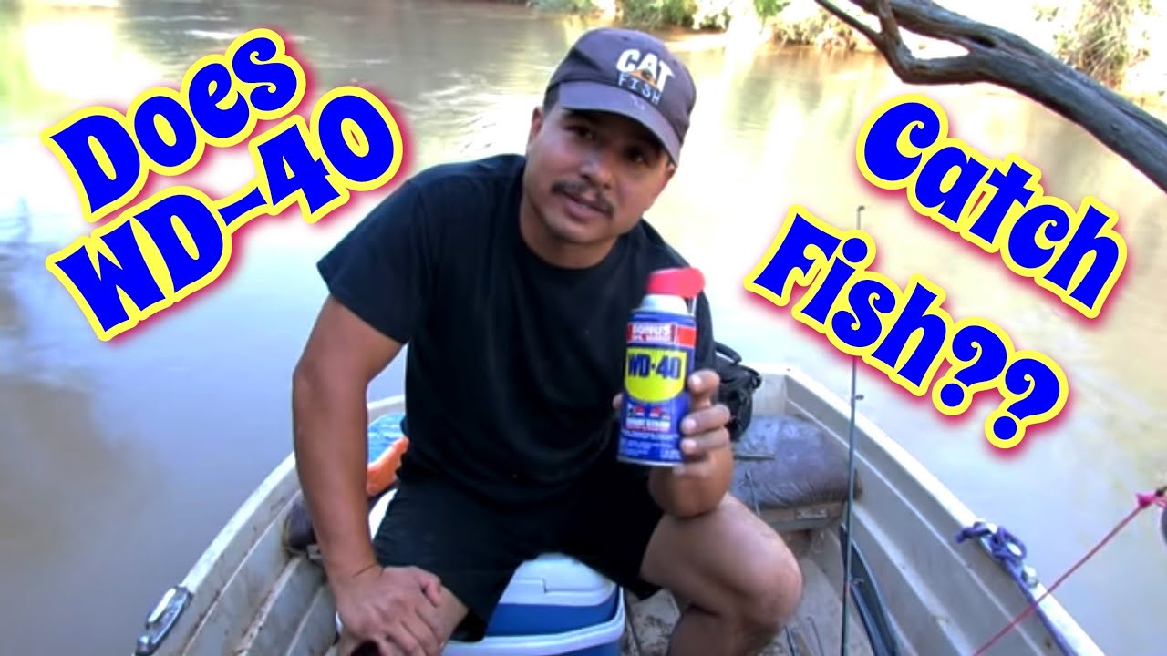 Does Wd 40 Attract Fish