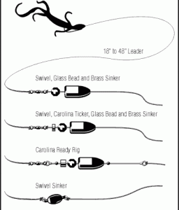 How Do You Make a Carolina Rig