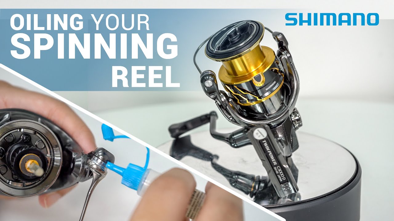 How Do You Oil a Fishing Reel