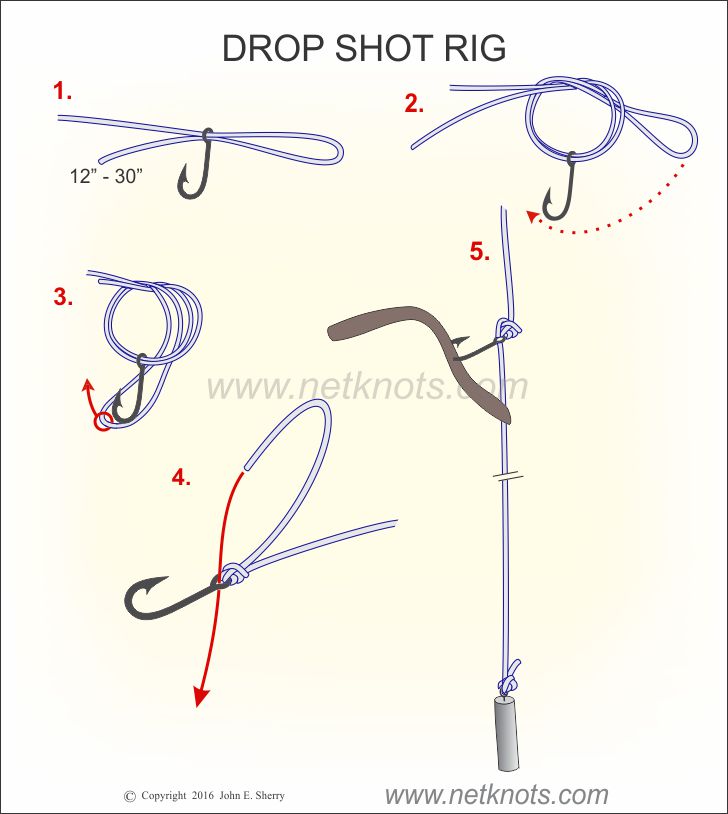 How Do You Tie a Drop Shot Rig