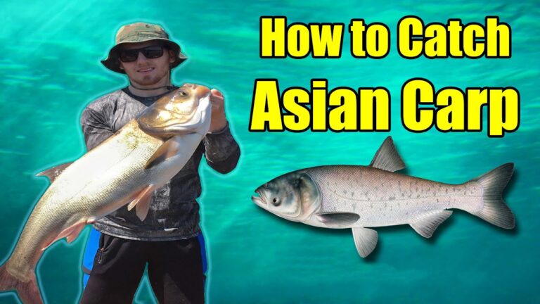 How to Catch Asian Carp