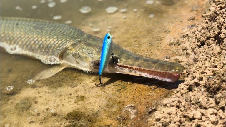 How to Catch Gar With Lures