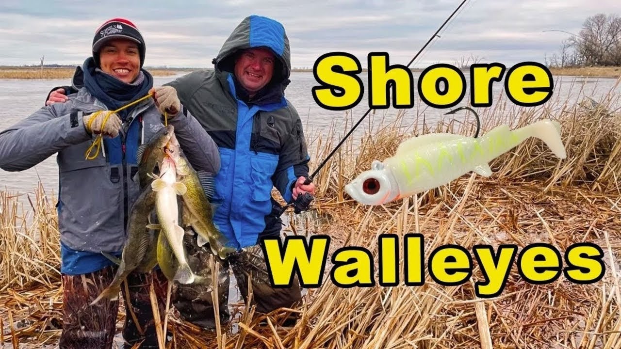 How to Catch Walleye from Shore