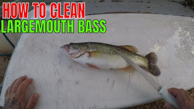 How to Clean Largemouth Bass