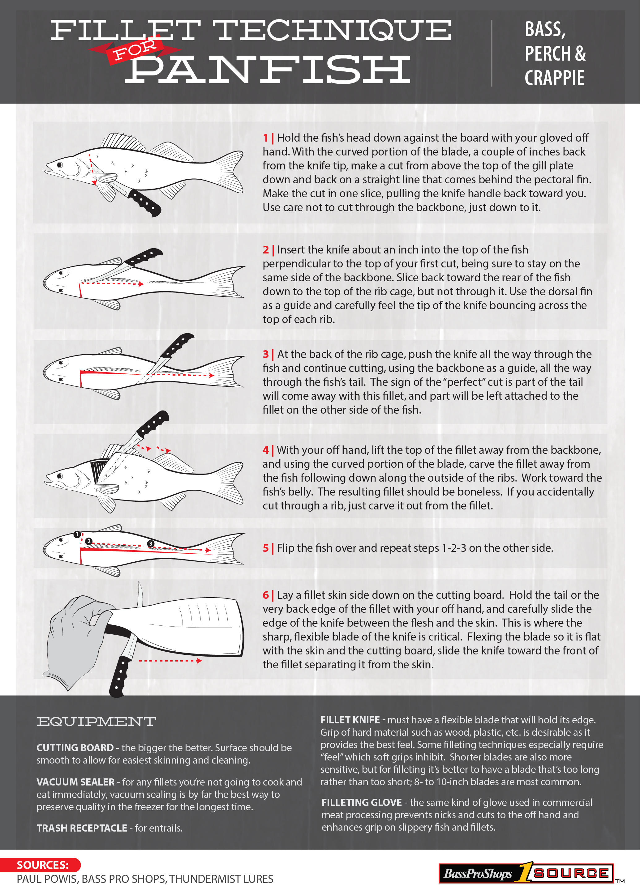 How to Fillet a Bass Fish