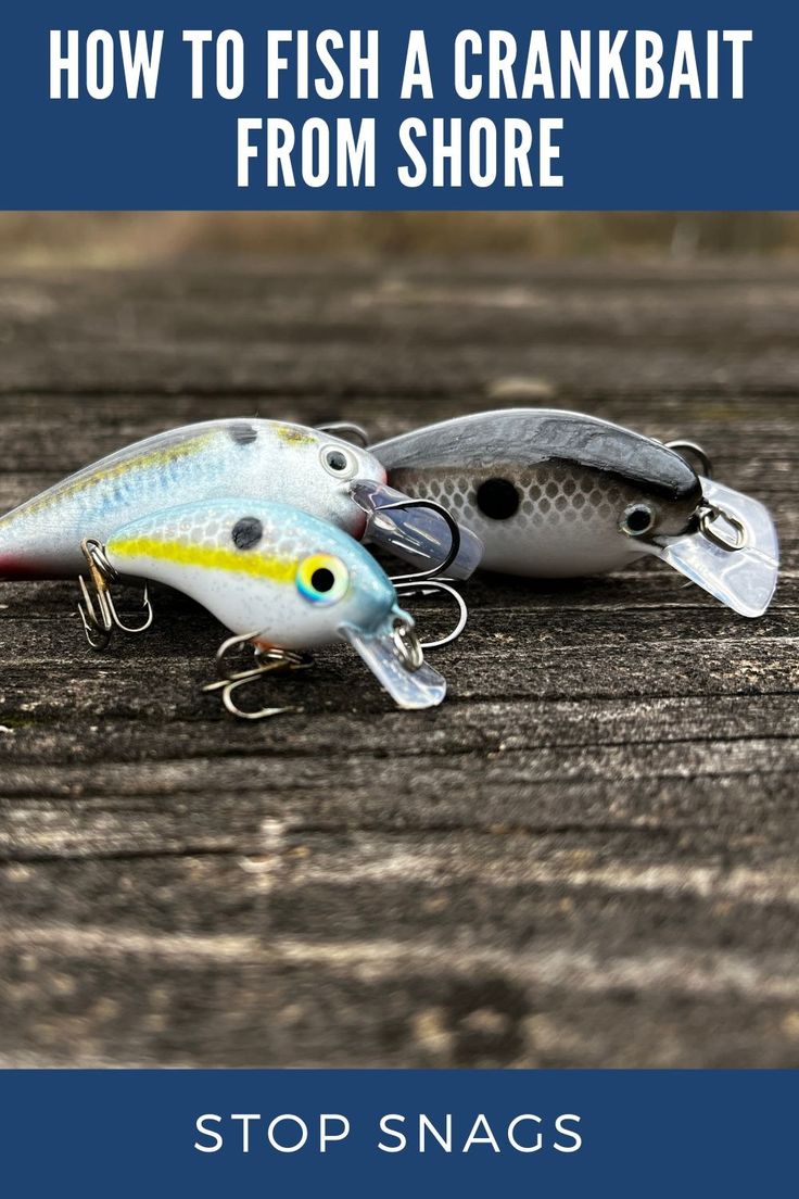 How to Fish a Crankbait from Shore