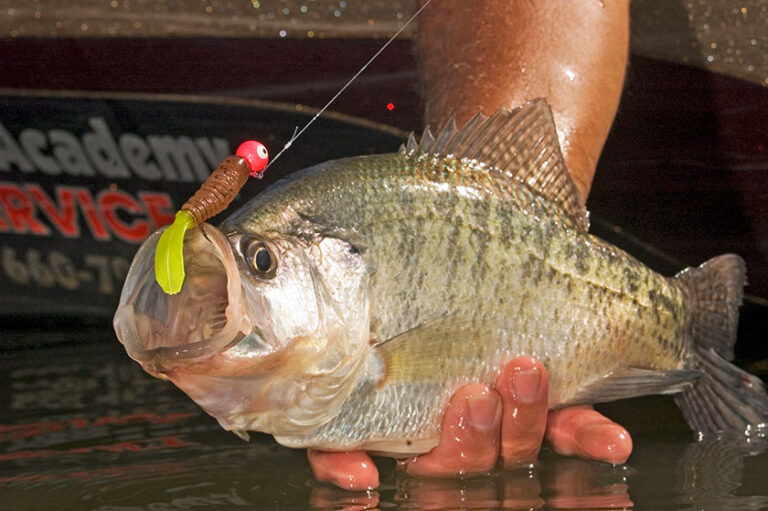 How to Fish a Crappie Jig