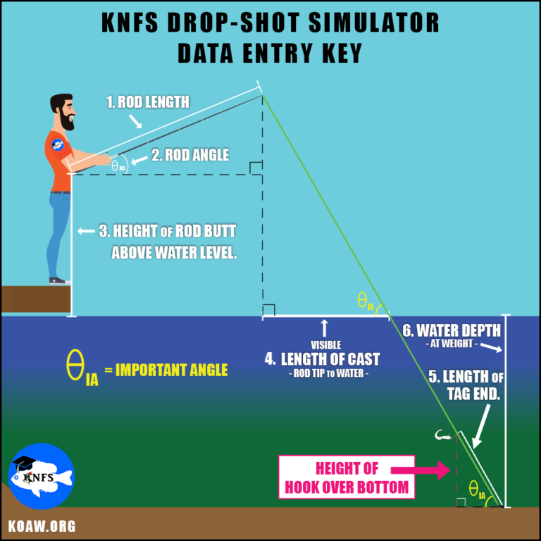 How to Fish a Drop Shot Rig from Shore