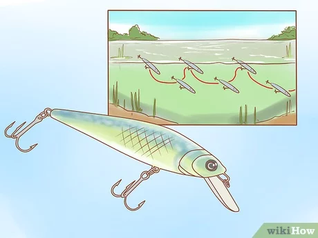 How to Fish a Jerkbait