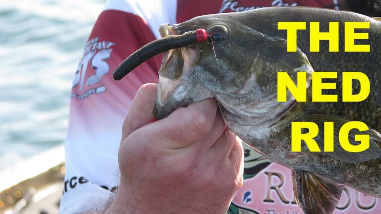 How to Fish a Ned Rig for Bass