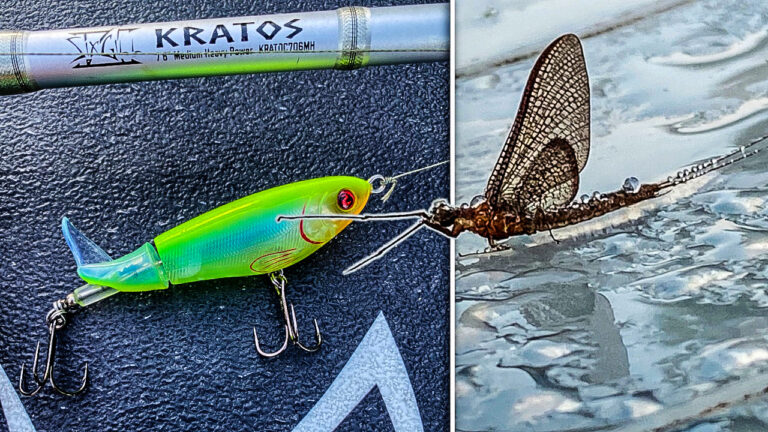 How to Fish a Whopper Plopper