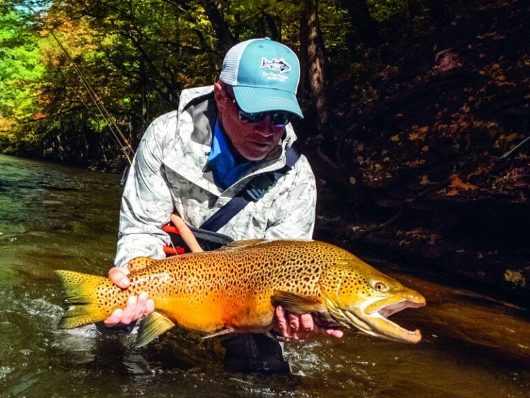How to Fish for Brown Trout