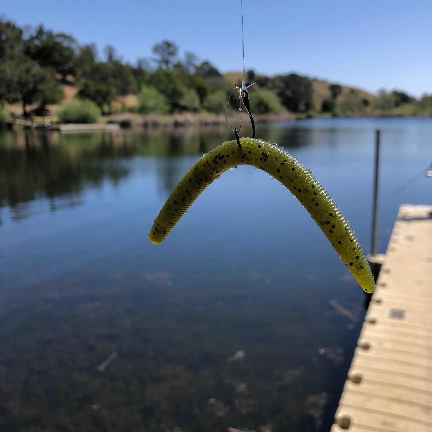 How to Fish Wacky Rig