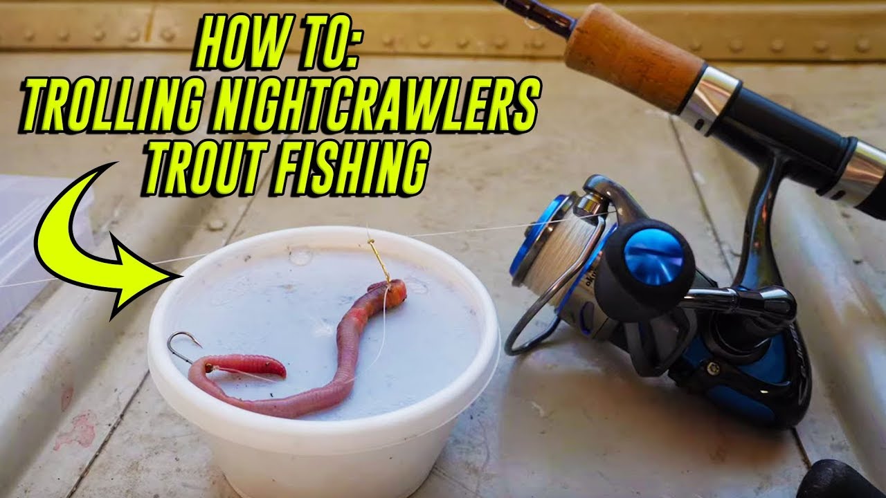 How to Fish With Nightcrawlers