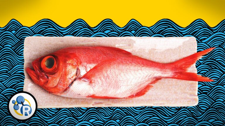 How to Get Fishy Taste Out of Fish