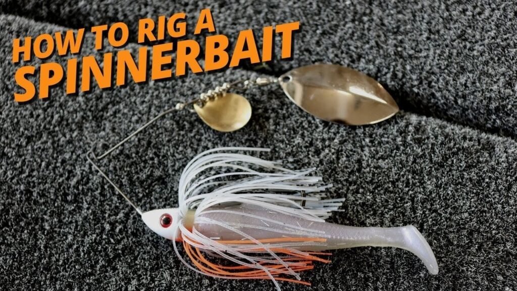 What Gear Ratio for Baitcaster Angling Journal
