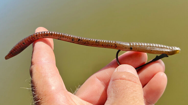 How to Rig a Trick Worm