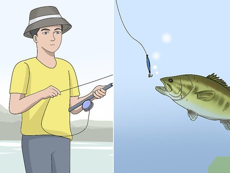 How to Set a Hook Fishing
