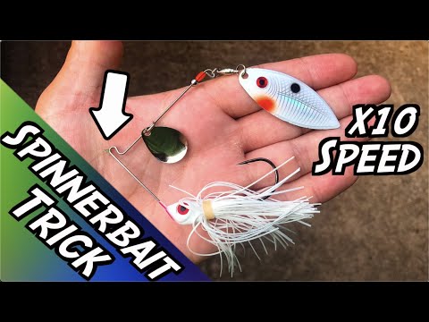 How to Tie on Spinnerbait