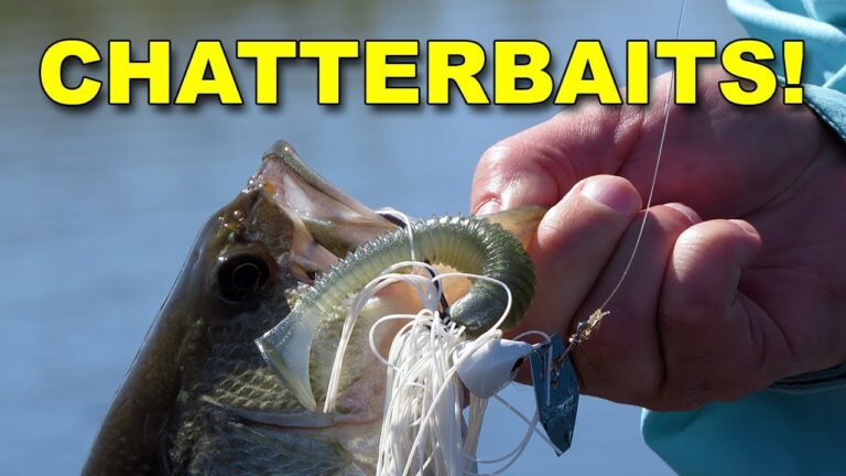 How to Use a Chatterbait for Bass