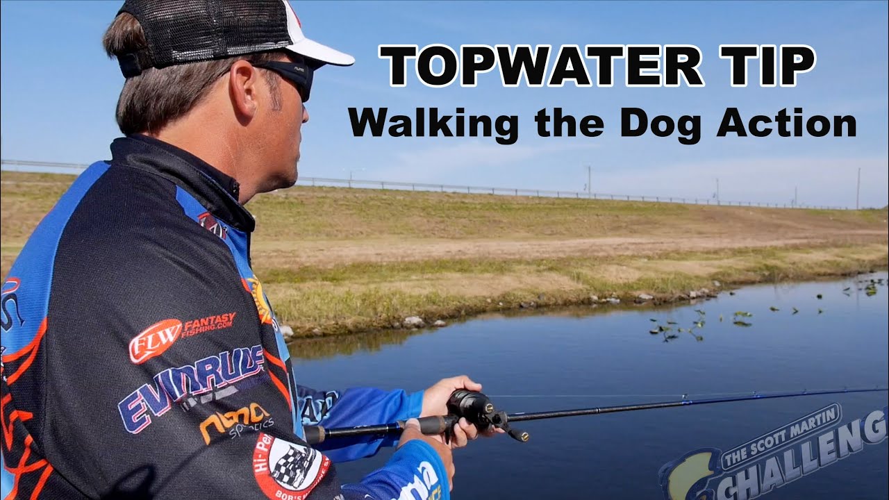 How to Walk the Dog Fishing