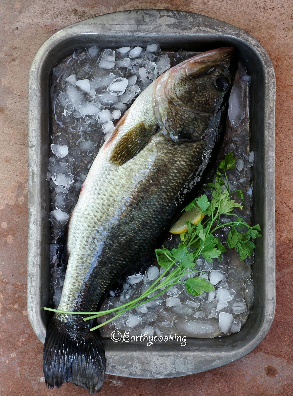 How to Cook Largemouth Bass  