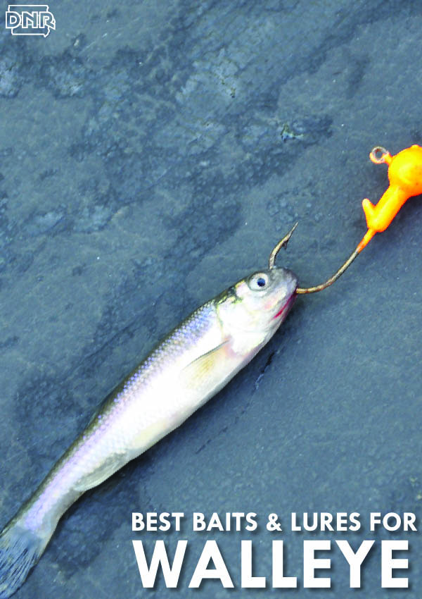 What Bait to Use for Walleye