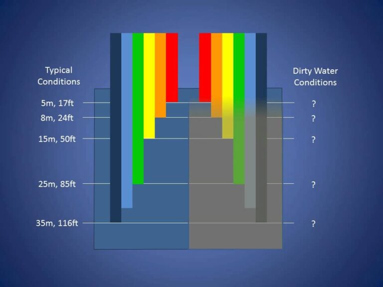 What Color Bait to Use in Muddy Water