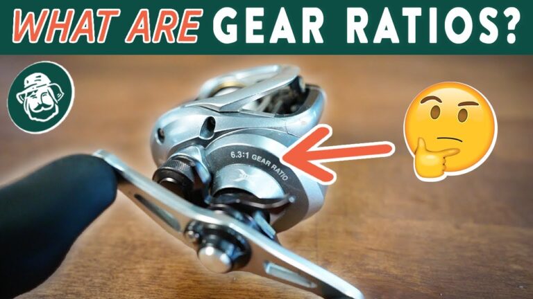 What Gear Ratio for Baitcaster