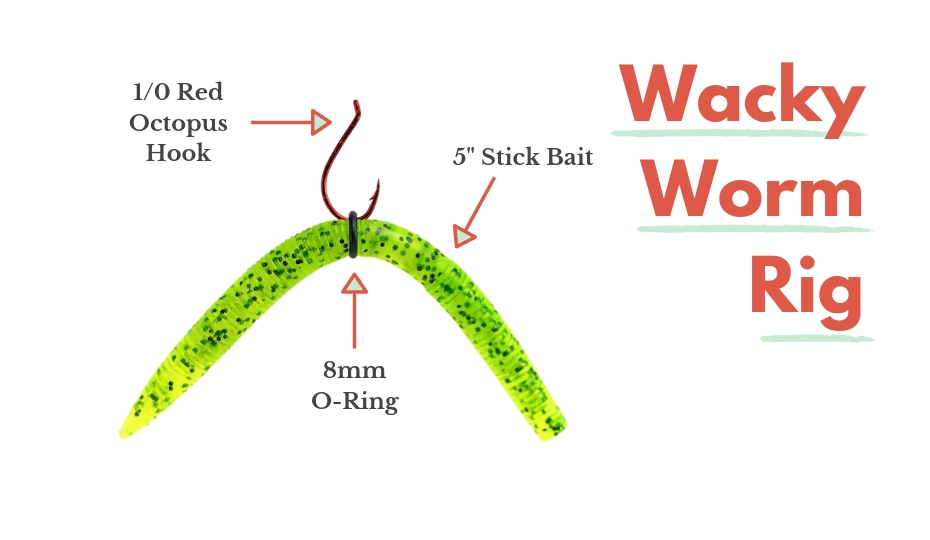 What Hook to Use for Wacky Rig