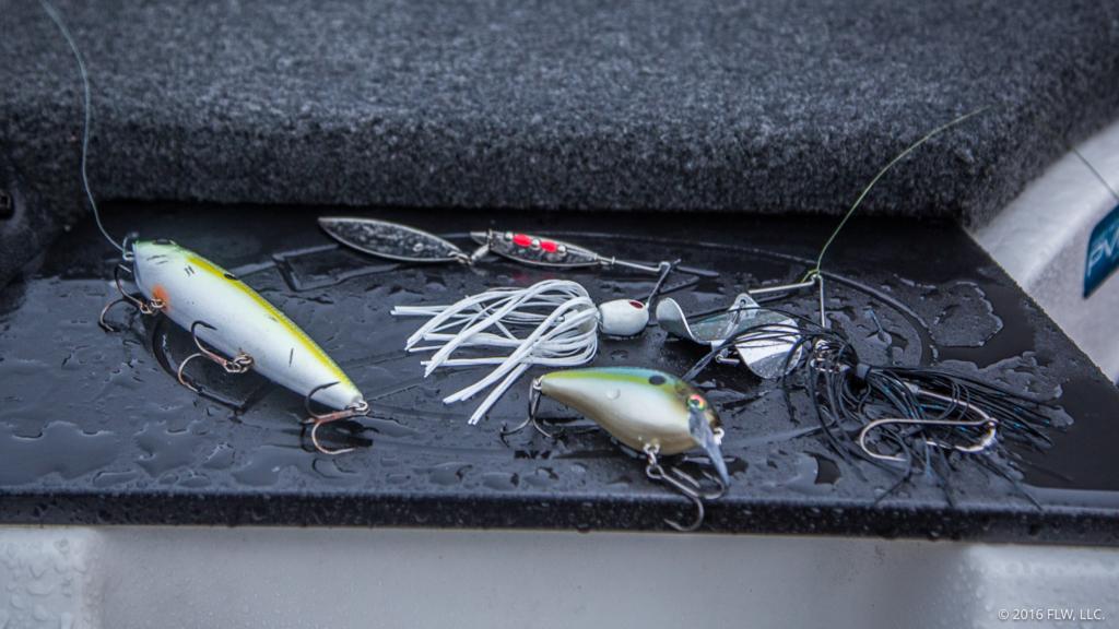 What Lures to Use for Bass After Rain