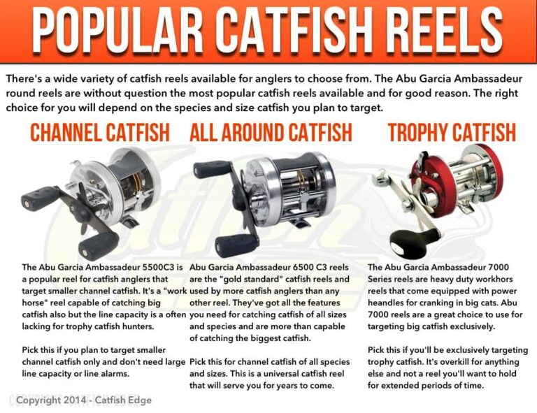 What Size Reel for Catfish
