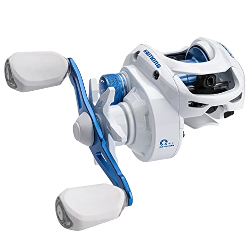 Best Baitcasting Fishing Reels