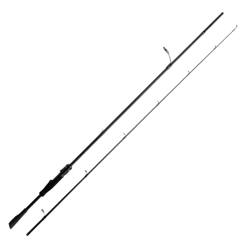 Best Carbon Fishing Rod