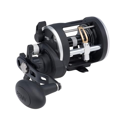 Best Conventional Fishing Reels