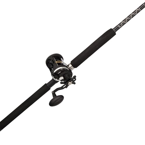 Best Deep Sea Fishing Rod And Reel Combo