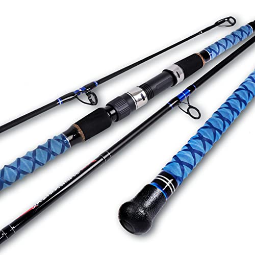Best Fishing Rod for Surf Casting