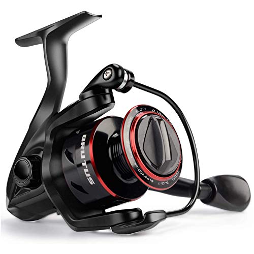 Best Freshwater Fishing Reels