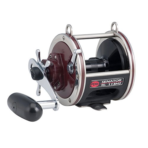 Best Halibut Fishing Reels