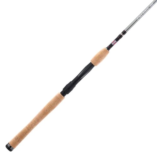 Best Inshore Fishing Rod
