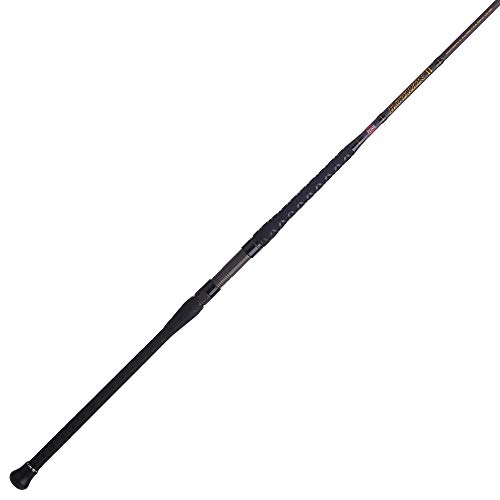 Best Pier Fishing Rod