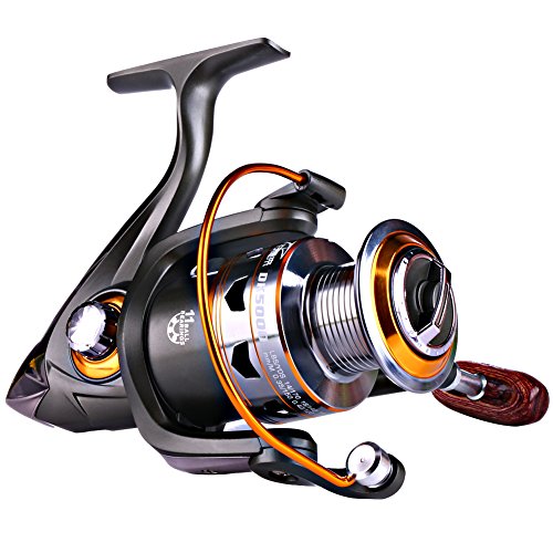 Best Reels for Beach Fishing