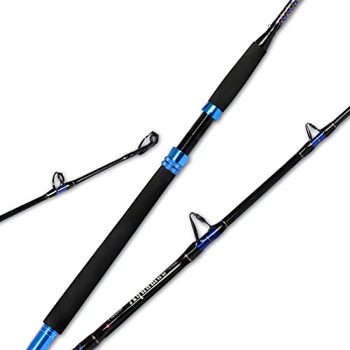 Best Rod for Boat Fishing