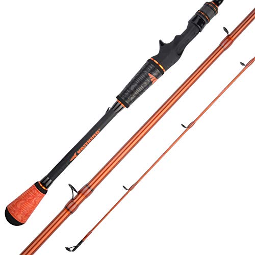 Best Rod for Jig Fishing