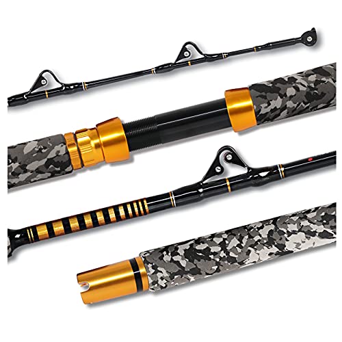 Best Rod for Shark Fishing