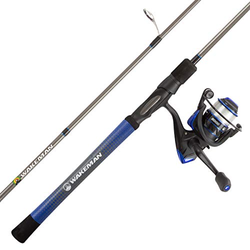 Best Spinning Reels under 300