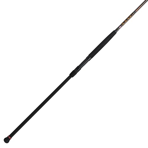 Best Surf Fishing Rod