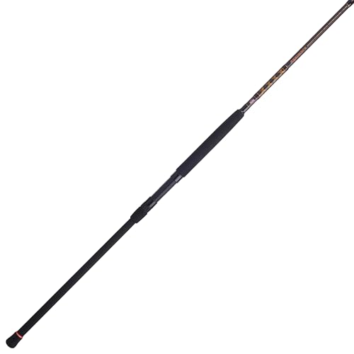 Best Surf Fishing Spinning Rod